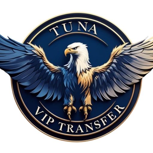 vip transfer